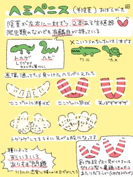 Image: 7701240