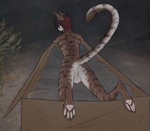Image: 11172961
