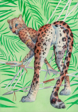 Image: 5695706