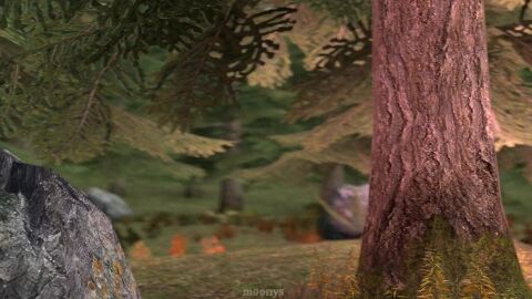 Image: 13104012