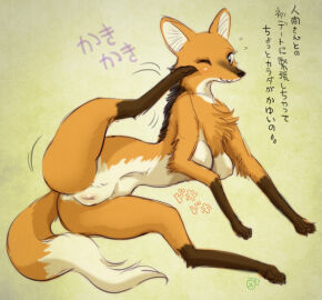 Image: 617961