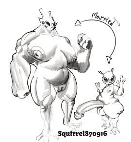 Image: 12231011