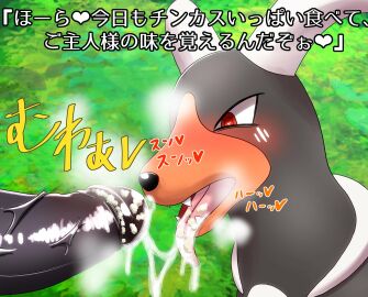 Image: 1935102
