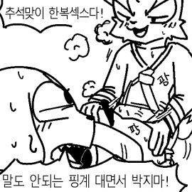 Image: 3247004