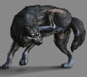 Image: 5455544