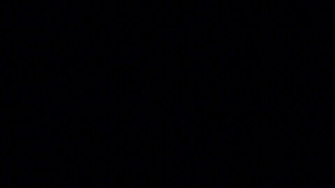 Image: 13109776