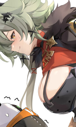 Image: 10801320
