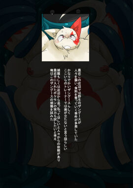 Image: 6665646