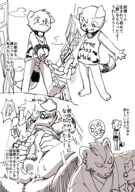 Image: 697267