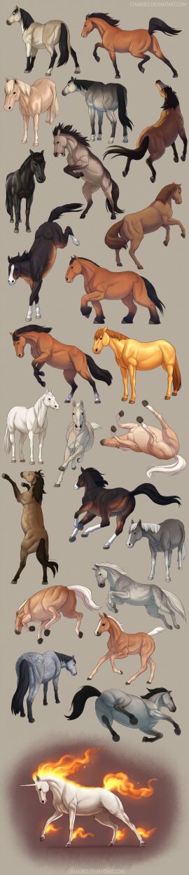 Image: 3515408