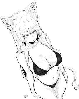 Image: 12682023