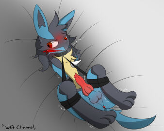 Image: 4174017