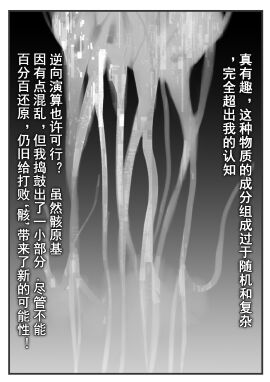 Image: 11883322