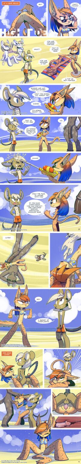 Image: 5097480