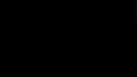 Image: 8630049
