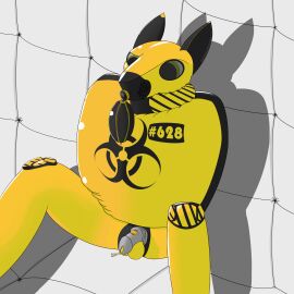Image: 5682806