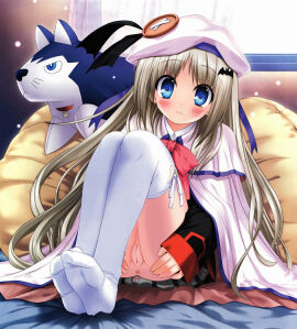 Image: 3162237