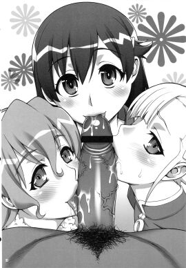 Image: 3307029