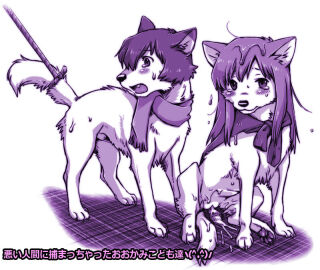 Image: 734625