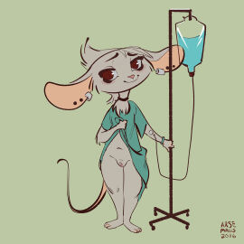 Image: 5358567