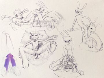 Image: 12553946