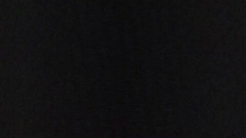 Image: 8295427