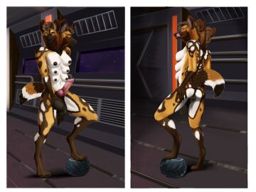 Image: 11173150
