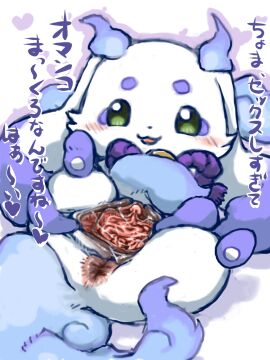 Image: 12713409