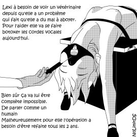 Image: 7474594