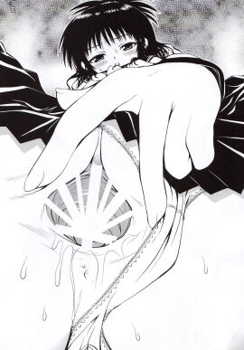 Image: 1010133