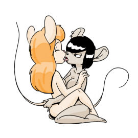 Image: 70446