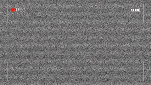 Image: 9985095
