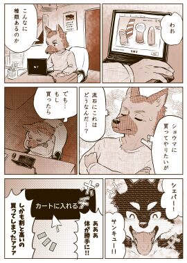 Image: 8047790