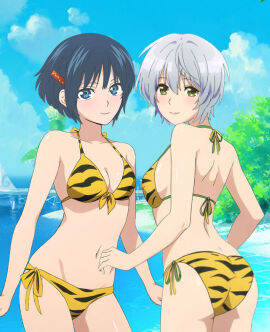 Image: 11080327