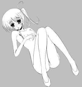 Image: 3074117