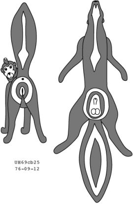 Image: 13085958