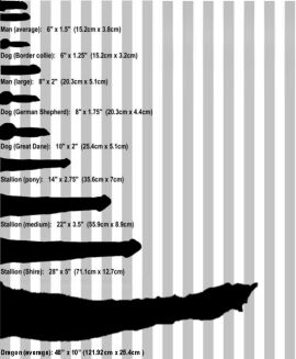 Image: 5760412