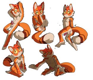 Image: 9871446