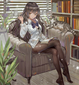 Image: 4577549