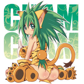 Image: 3150992