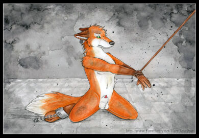 Image: 57944