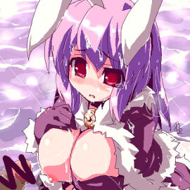 Image: 9976200