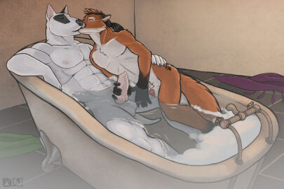 Image: 43545