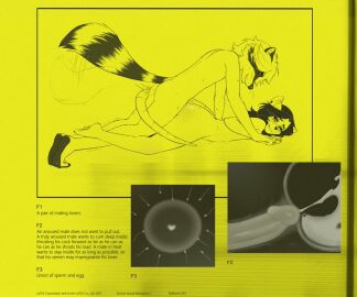 Image: 12095753