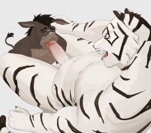 Image: 11092720