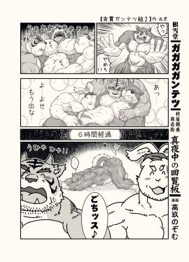 Image: 542845
