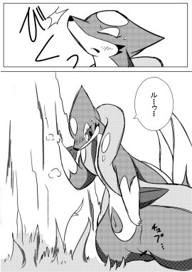 Image: 677702