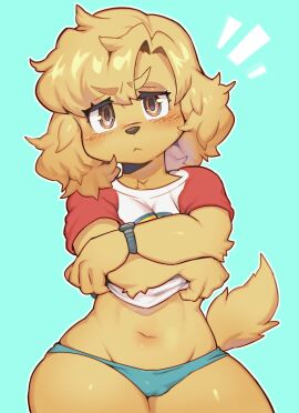Image: 7082311