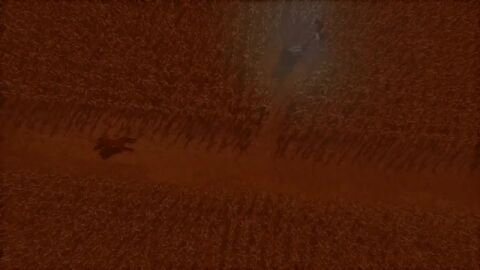 Image: 8192016