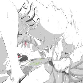 Image: 1646137